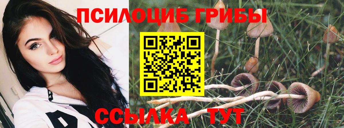 Галлюциногенные грибы Psilocybine cubensis  Псилоцибиновые грибы мицелий  Вход с VPN  Кимры 