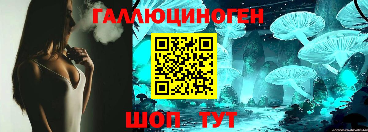 Псилоцибиновые грибы Psilocybe Кимры